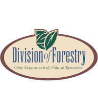 ODNR Divison of Forestry